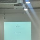 홍대 안단테꽃예술학원 국비지원 핸드타이드 집중과정 10회차 - 대형 그린 꽃다발 후기