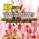 밋델리