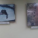 상복목장 이미지