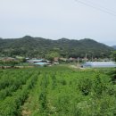 이안면 문창리 이미지