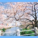 한국SGI 이미지