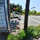 가나화원 이미지