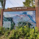 백양산 신모라 온천 네이버블로그
