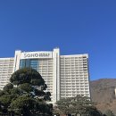 호호당구장 | B동 패밀리파크뷰 스탠다드 침대/미취사 1박 3명 숙박 후기(더블베드+싱글베드)/리조트에서 먹부림까지