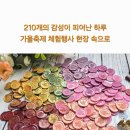 감성톡톡 캘리그라피 | [기관체험행사 납품후기] 실링왁스 미니꽃다발 캘리그라피 캔버스액자 210세트 대량 단체주문 완료