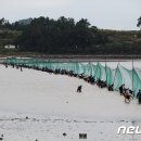 소라면 장척 이미지
