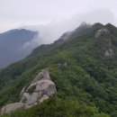 제256회 정기산행 경남 함양 월봉산(1,279m) 산행 (2016년 8월 20일) 이미지