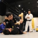 동심사