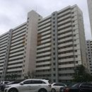 참약국(광명동물약국) 이미지