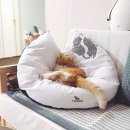 미유컴퍼니