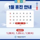 설이비인후과의원 네이버블로그