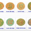 푸른안경원 이미지