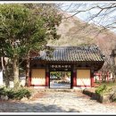 쌍계사 상록수림 이미지