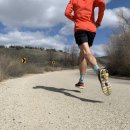 the Fitness LAB 이미지