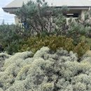 [旅行] 호주 멜버른 신혼여행 - 그레이트오션로드 내돈내산 투어 후기🪨