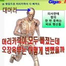 대신 돌아가시는 분~항암이나 약물은 독극물 이미지