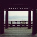 강진-33 이미지