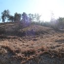 창선경로당 Daum카페