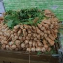 봄·초롱 하우스 이미지