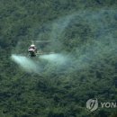 색달동-14 이미지