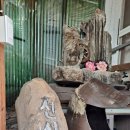 본오로1길 이미지