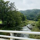 산새목장 이미지