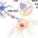 알이랑 건강 이미지