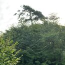 무무별장 이미지