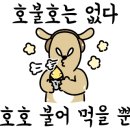 워시블랑부평