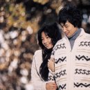 국화꽃향기 이미지