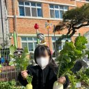 창릉어린이집 이미지