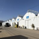 두레로2 | 과천화훼유통센터 방문 후기…식집사 눈 돌아가는 곳