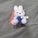 The 뽑기 짱(궁동점) | 가챠 그리고 라부부, 인형뽑기 기록