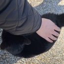 순천시청소년수련원 | 순천 근교 데이트 | 나만 알고 싶은 호수뷰 카페 운평769 피크닉 후기