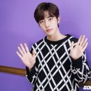 골드니스 이미지