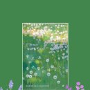 숲을향한시선 | 에세이 《숲으로 출근합니다》후기