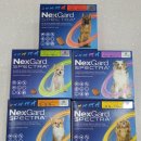 창원동물약국 이미지