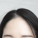 알로비어