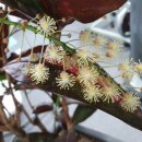 성베드로한방병원 이미지