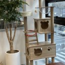 이건동물병원 이미지