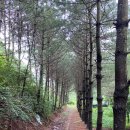 최무선로 이미지