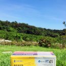 배동문농장 이미지