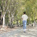 내돈내산 한방 다이어트 휴먼이즈 절반 마른비만 감량 후기