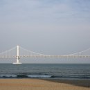 개미집 광안리점 이미지