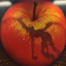 산들사이 | 260304 데스노트 뮤지컬 규현 산들 로터리 티켓 당첨 관람 후기