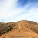 유유자적 이미지