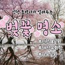 수봉궁도장 | 인천 벚꽃축제, 명소 인천대공원 외에는?!