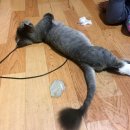 이화정육식당 이미지