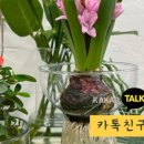 그레이스선물의집