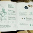 아띠누리 다육이화분 리뷰 – 베이지 컬러 3개 체험 후기! 🌿✨